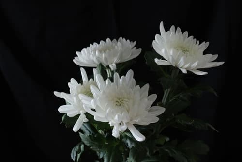 Congratulatory & Condolence Events